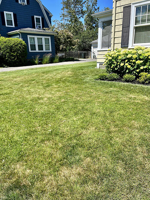 A lawn in Marblehead, MA