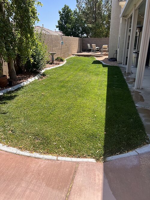 A lawn in Las Vegas, NV
