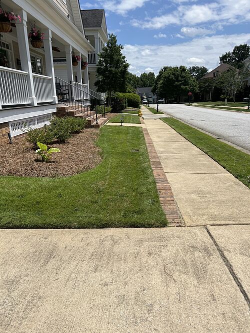 A lawn in Greenville, SC