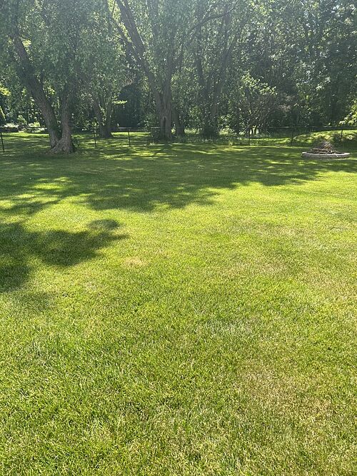 A lawn in Michigan City, IN