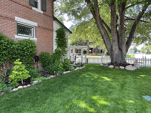 A lawn in Loveland, CO