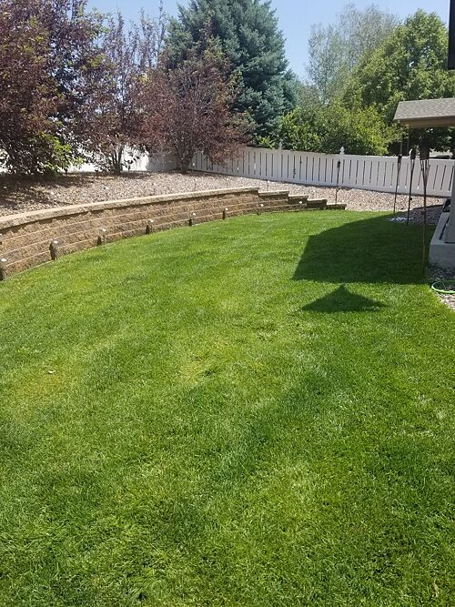 A lawn in Milliken, CO