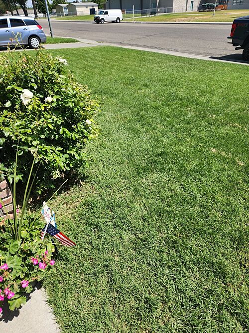 A lawn in Kennewick, WA