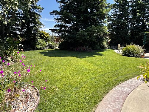 A lawn in Vacaville, CA