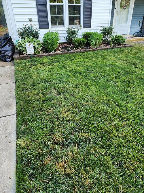 A lawn in Waldorf, MD