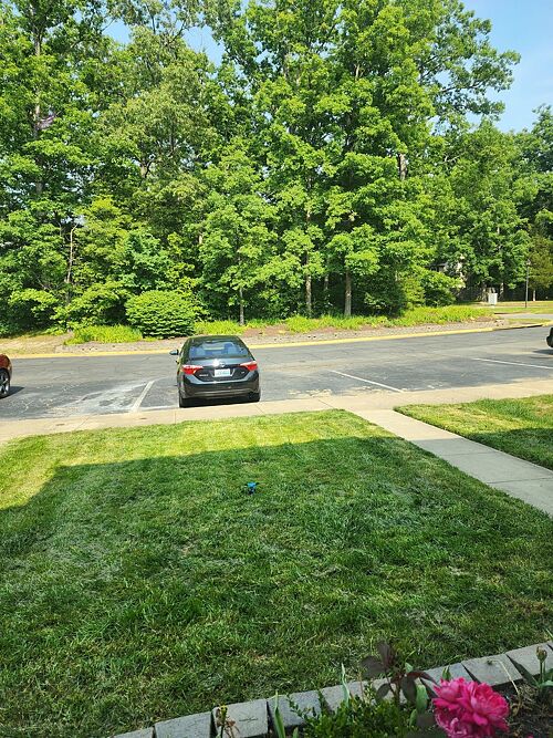 A lawn in Waldorf, MD