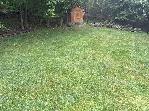 A lawn in Bergen Co., NJ