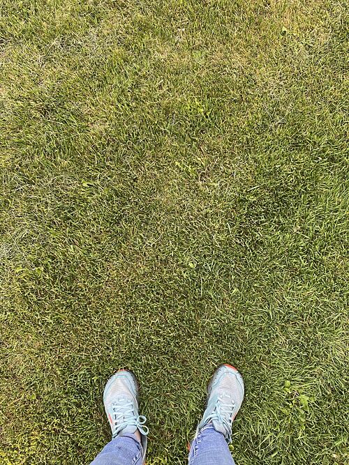 A lawn in Vernal, UT