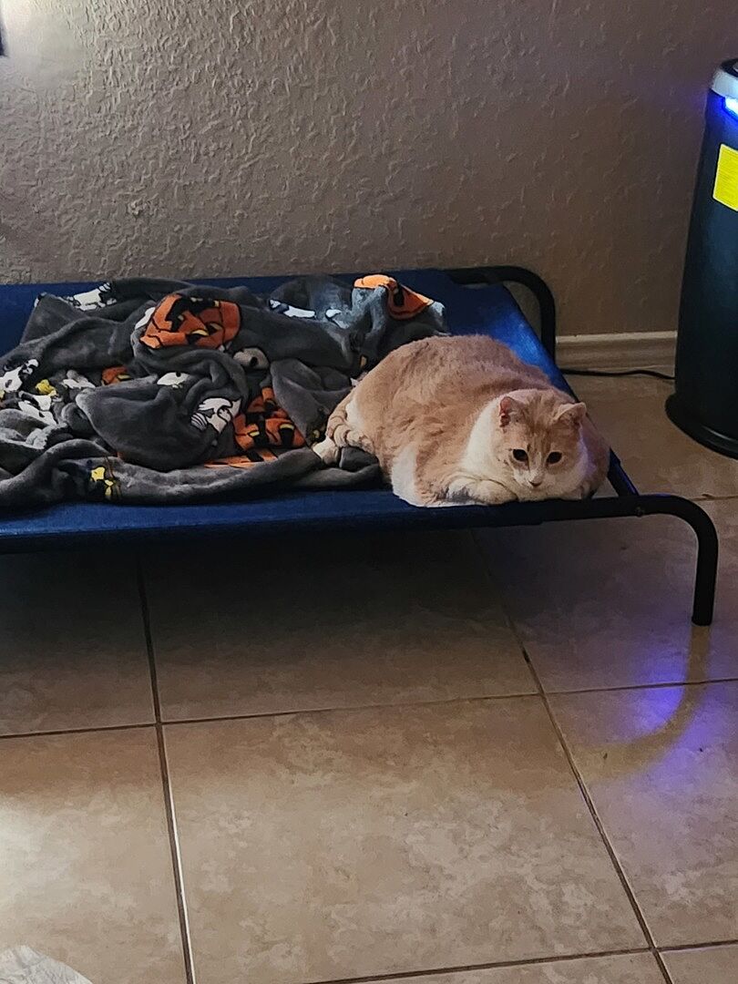 Catalyst Pet customer photo shared by Nicole M.