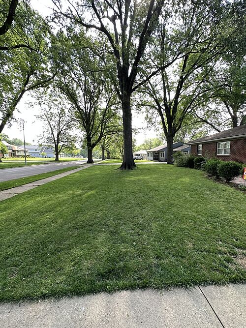 Sitemapcdatahttpabckniqoocomenvironmental Turf And Tree Olathe Reviews