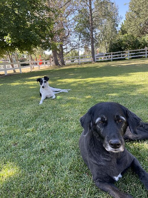 A lawn in Layton, Utah