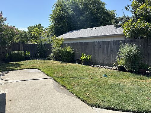 A lawn in Modesto, CA