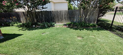 A lawn in Fort Worth, TX