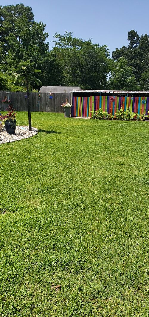 A lawn in Longview, TX