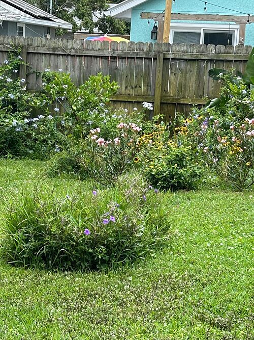 A lawn in St. Augustine Beach, FL
