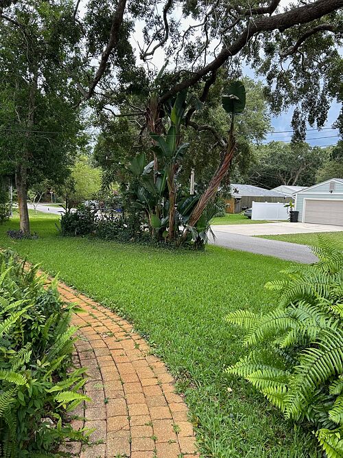 A lawn in St. Augustine Beach, FL