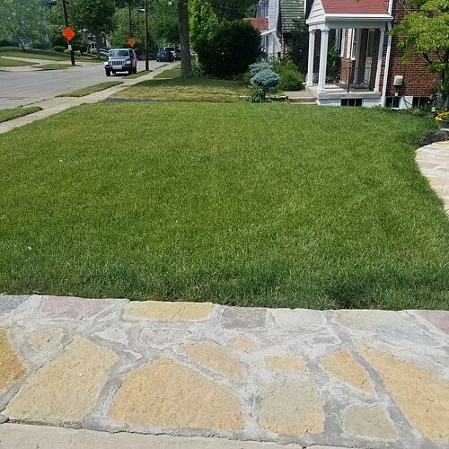 A lawn in Cincinnati, OH
