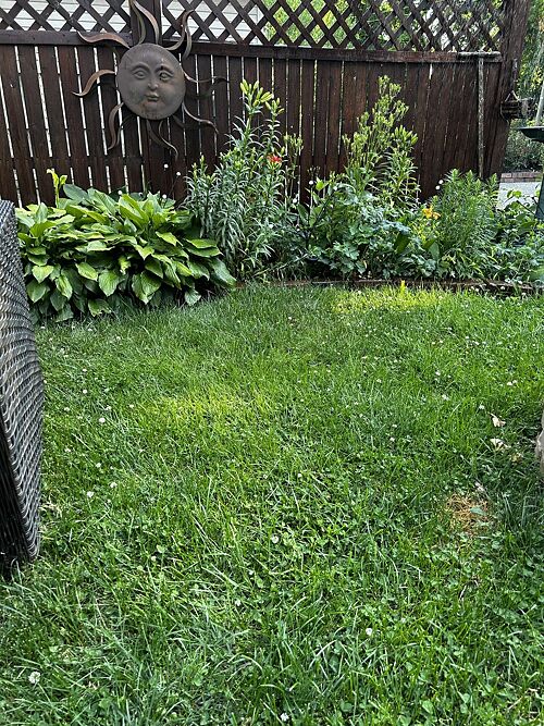 A lawn in St Joseph, MI
