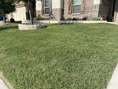 A lawn in Fort Worth, TX