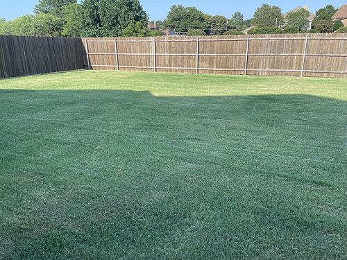 A lawn in Fort Worth, TX