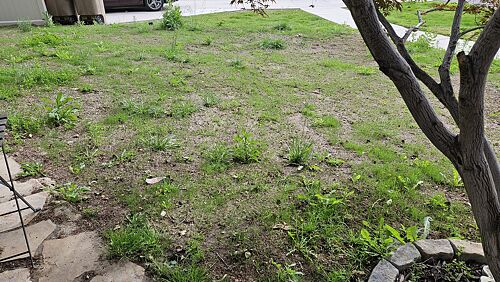 A lawn in Draper, UT