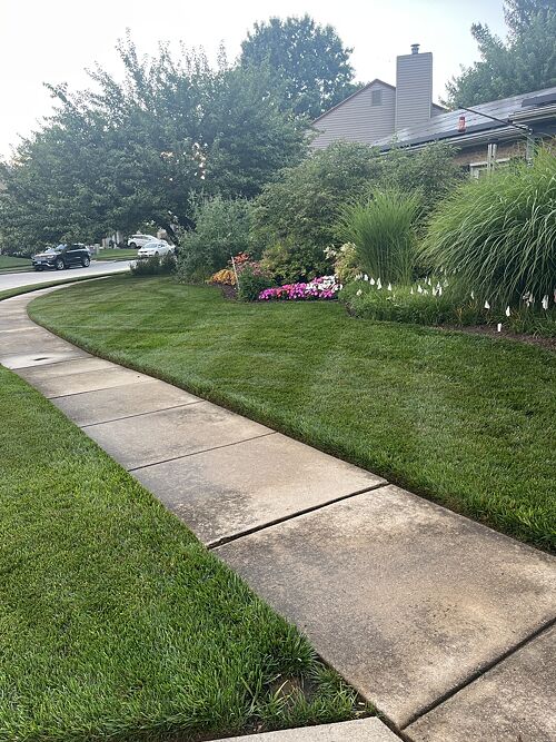 A lawn in Frederick, MD