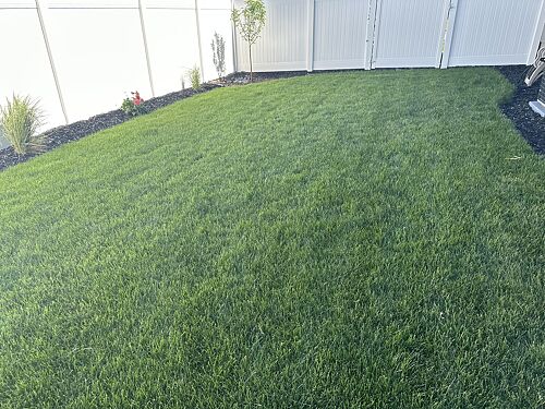 A lawn in Saratoga Springs, UT