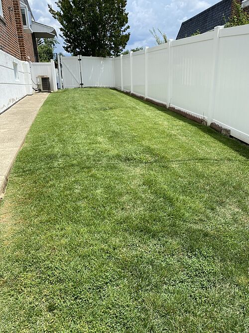 A lawn in Philadelphia, PA