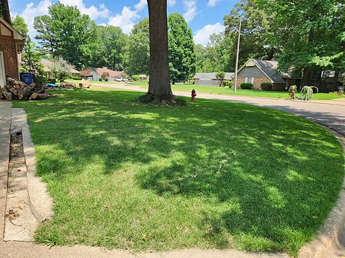 A lawn in AR