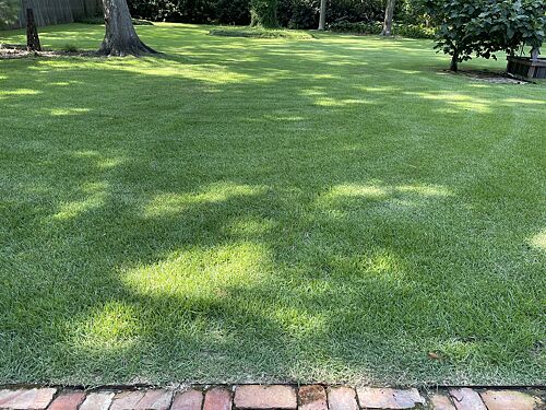 A lawn in Fairhope, AL
