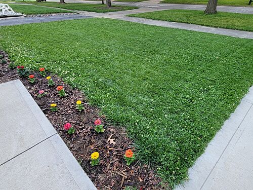A lawn in Cleveland, OH
