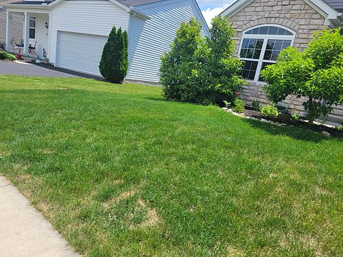 A lawn in Grove City, OH