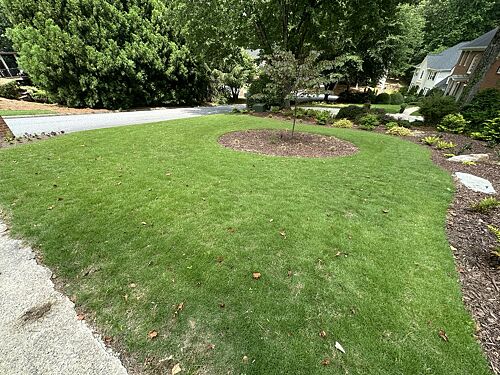A lawn in Alpharetta, GA