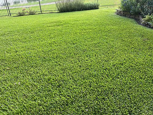 A lawn in Katy, TX