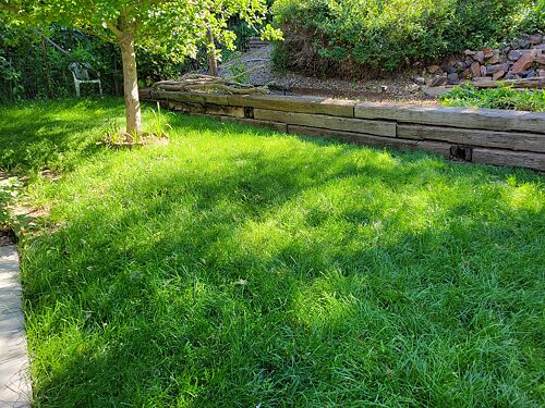 A lawn in Littleton, CO