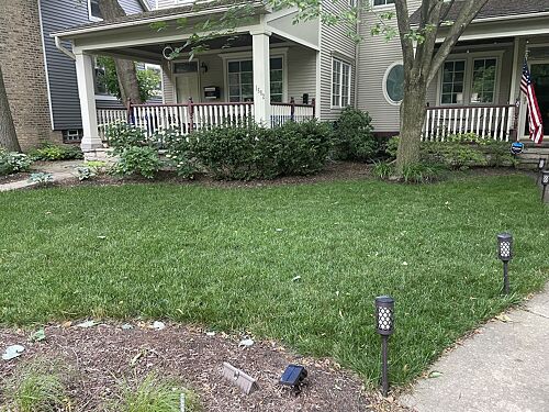 A lawn in Evanston, IL