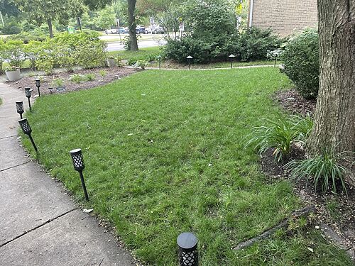 A lawn in Evanston, IL