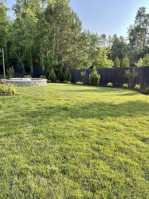 A lawn in Richmond, VA