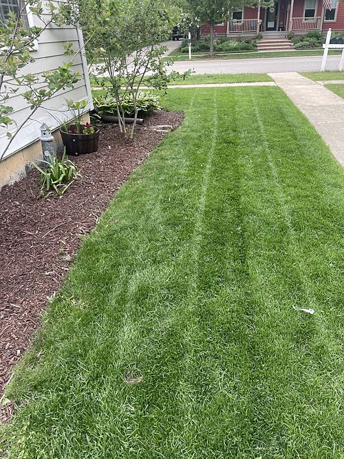 A lawn in Grayslake, IL