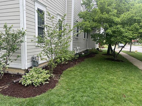 A lawn in Grayslake, IL