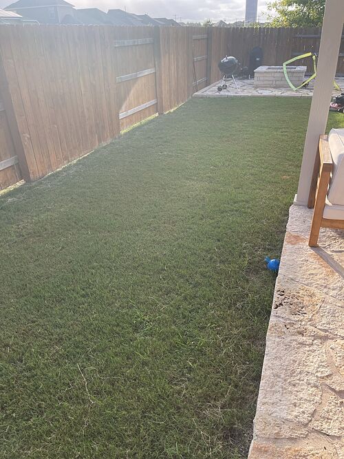A lawn in Round Rock, TX