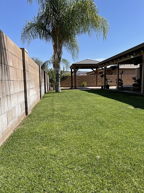A lawn in Tucson, AZ