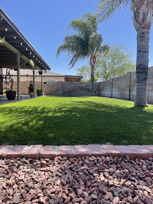 A lawn in Tucson, AZ