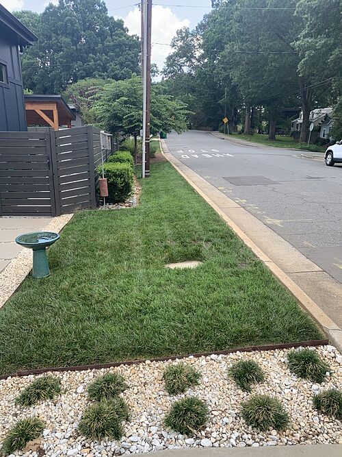 A lawn in Charlotte, NC