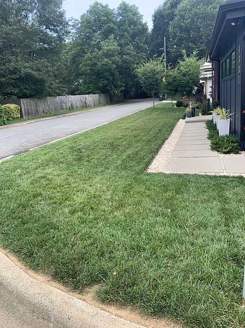 A lawn in Charlotte, NC