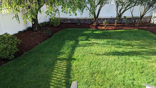 A lawn in Medford, MA