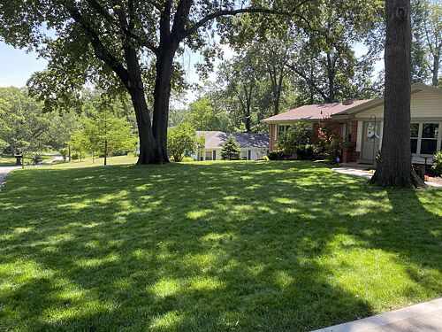 A lawn in St. Louis, MO