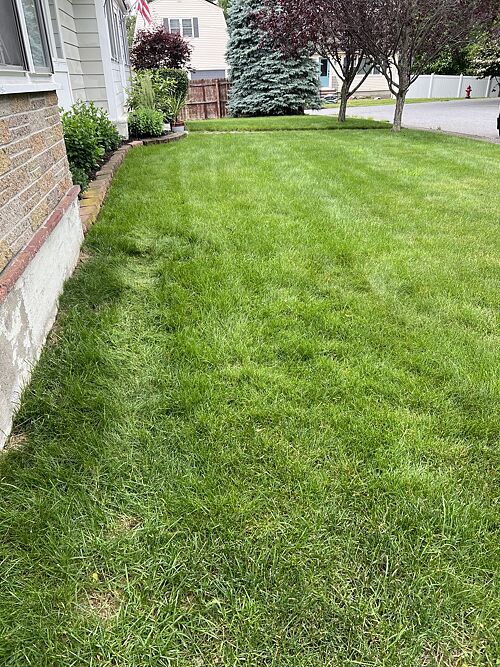 A lawn in Methuen, MA