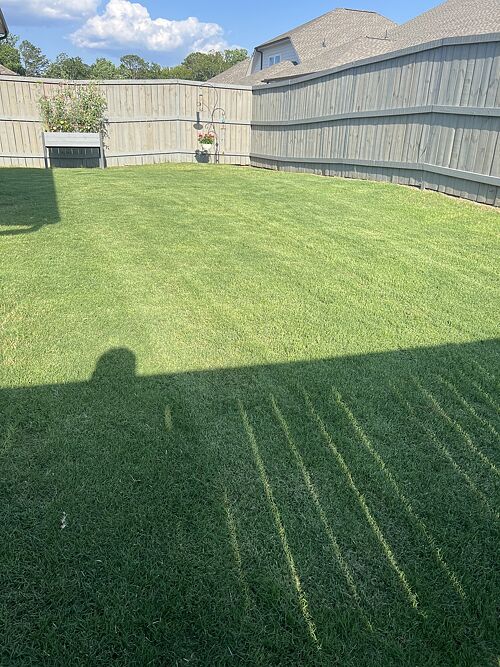 A lawn in Woodstock, GA