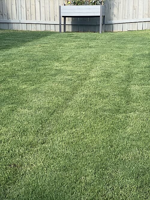 A lawn in Woodstock, GA
